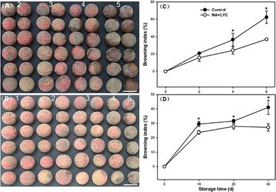 Combined Application of Malic Acid and Lycopene Maintains Content of Phenols, Antioxidant Activity, and Membrane Integrity to Delay the Pericarp Browning of Litchi Fruit During Storage